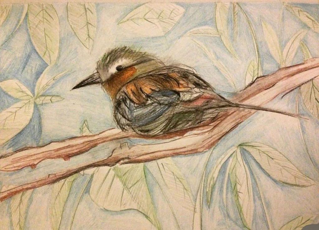 Little Bird Among the Leaves