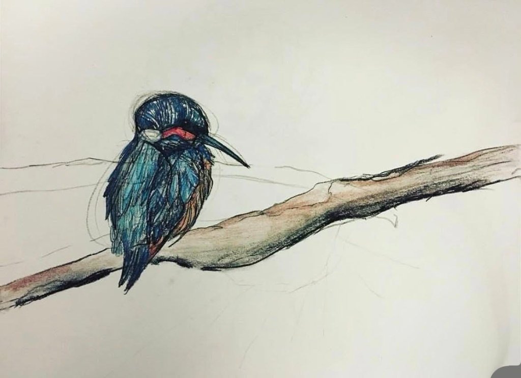 Kingfisher on a Branch