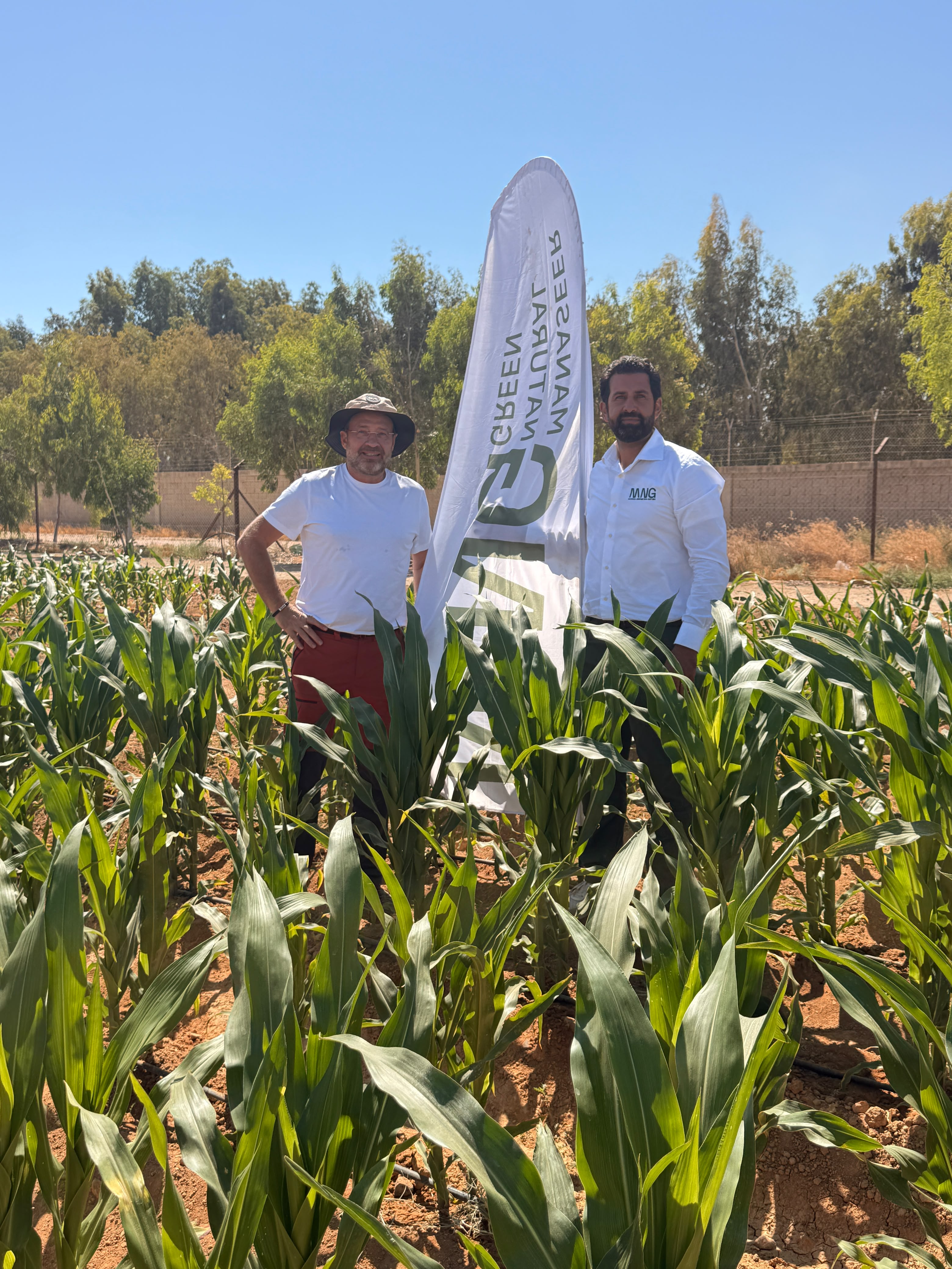 Corn in Jordan — Follow-Up: One Integrated MNG Programme, From Soil to Foliar