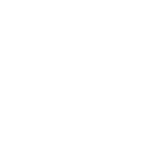 Pavlova Consult