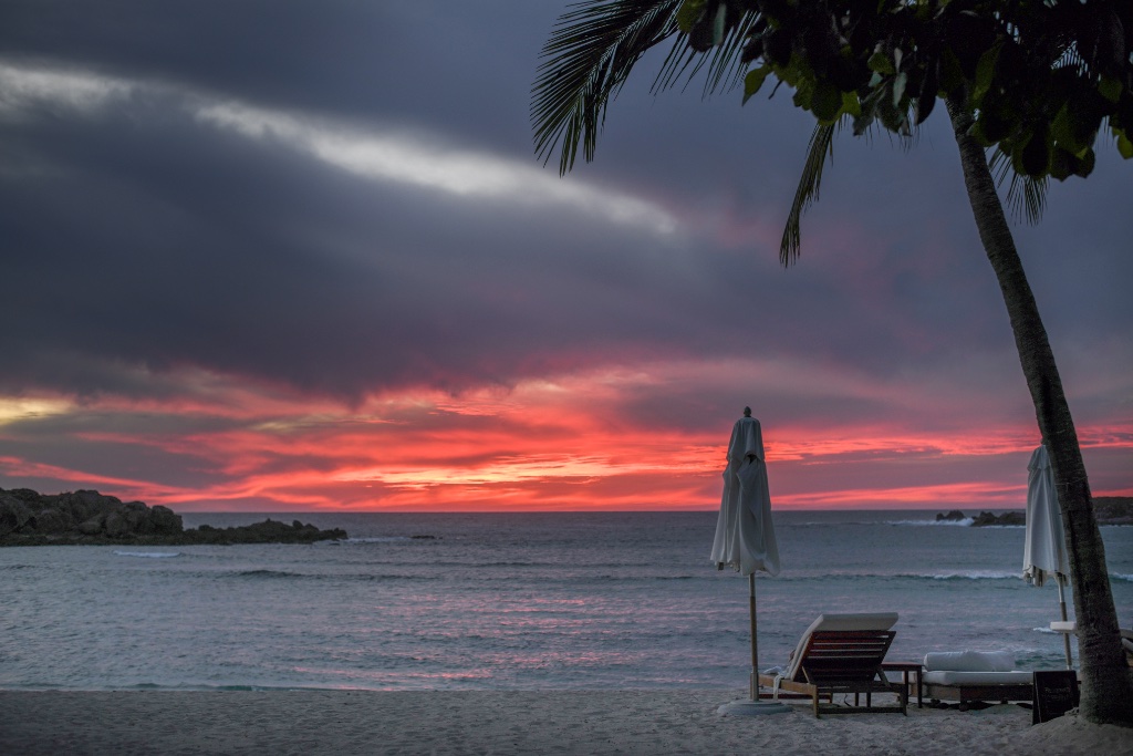 Tropical Sunset Dinner