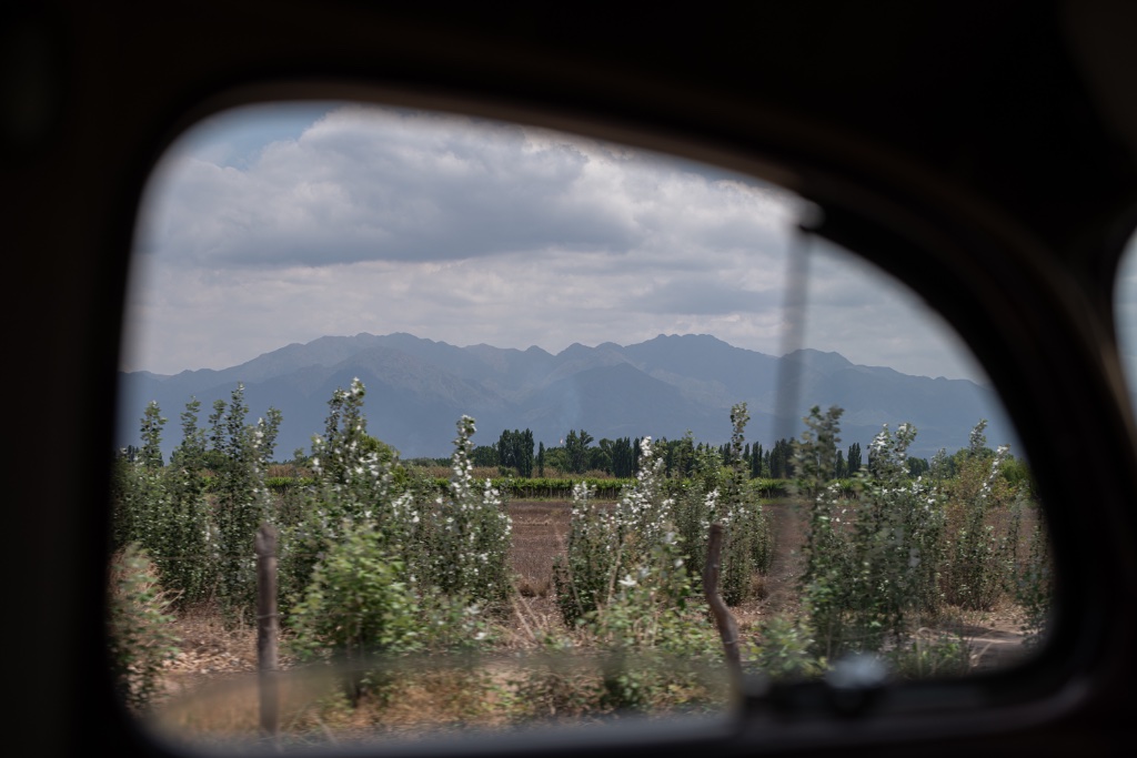 Wine Region