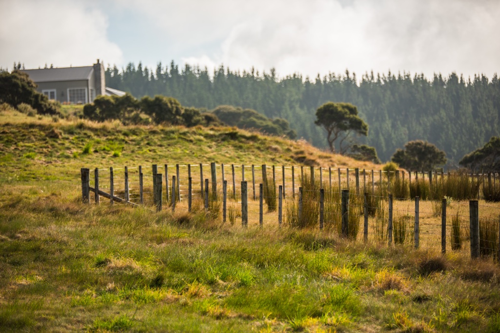 New Zealand Farm