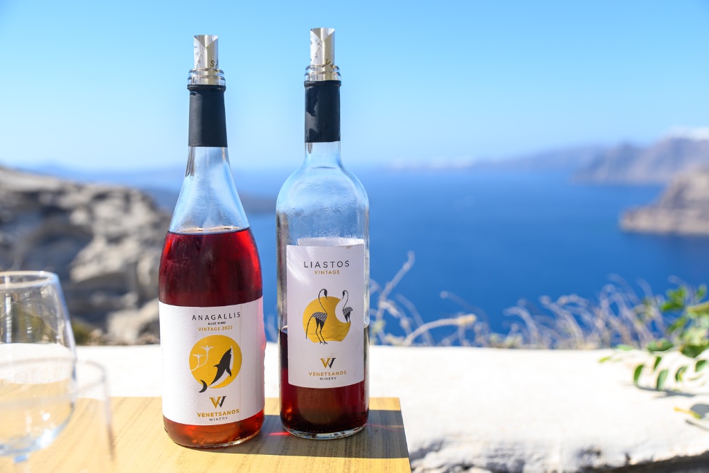 Santorini Wine Tasting
