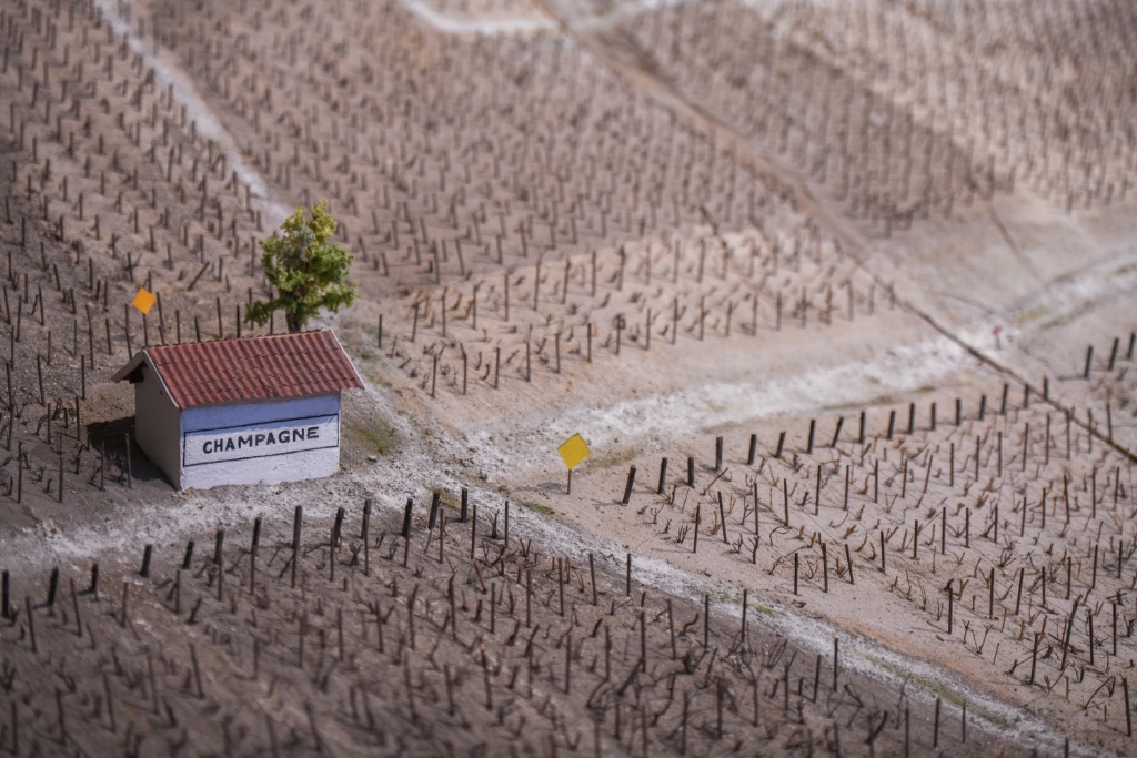 Champagne Vineyard