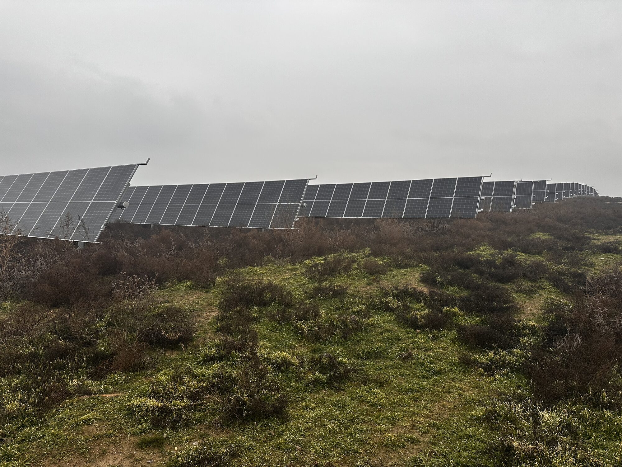 445MW Bilasuvar Solar PV Project and 315MW Neftchala Solar PV Project