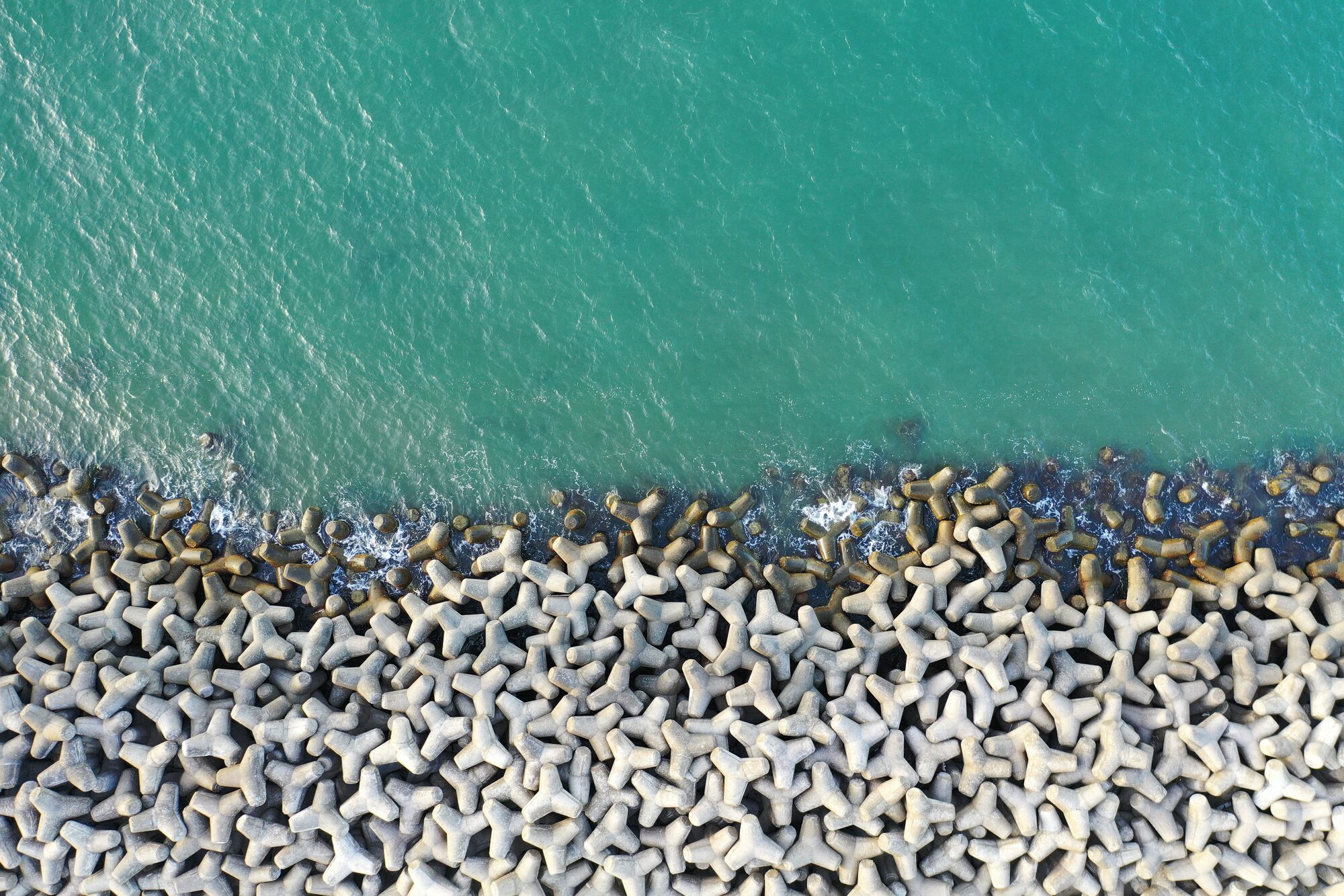 Nature Based Solutions in MENA and SEA: Coastal Applications