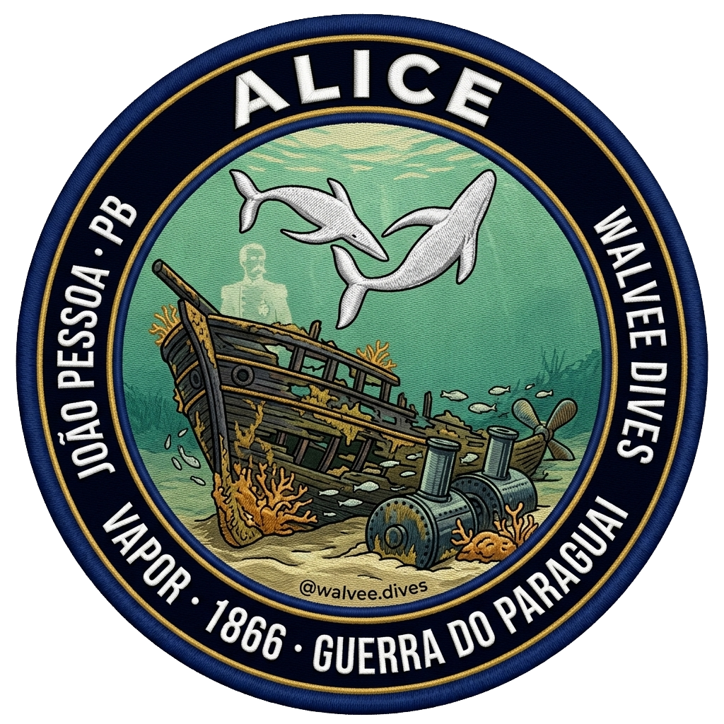 N/M Alice
