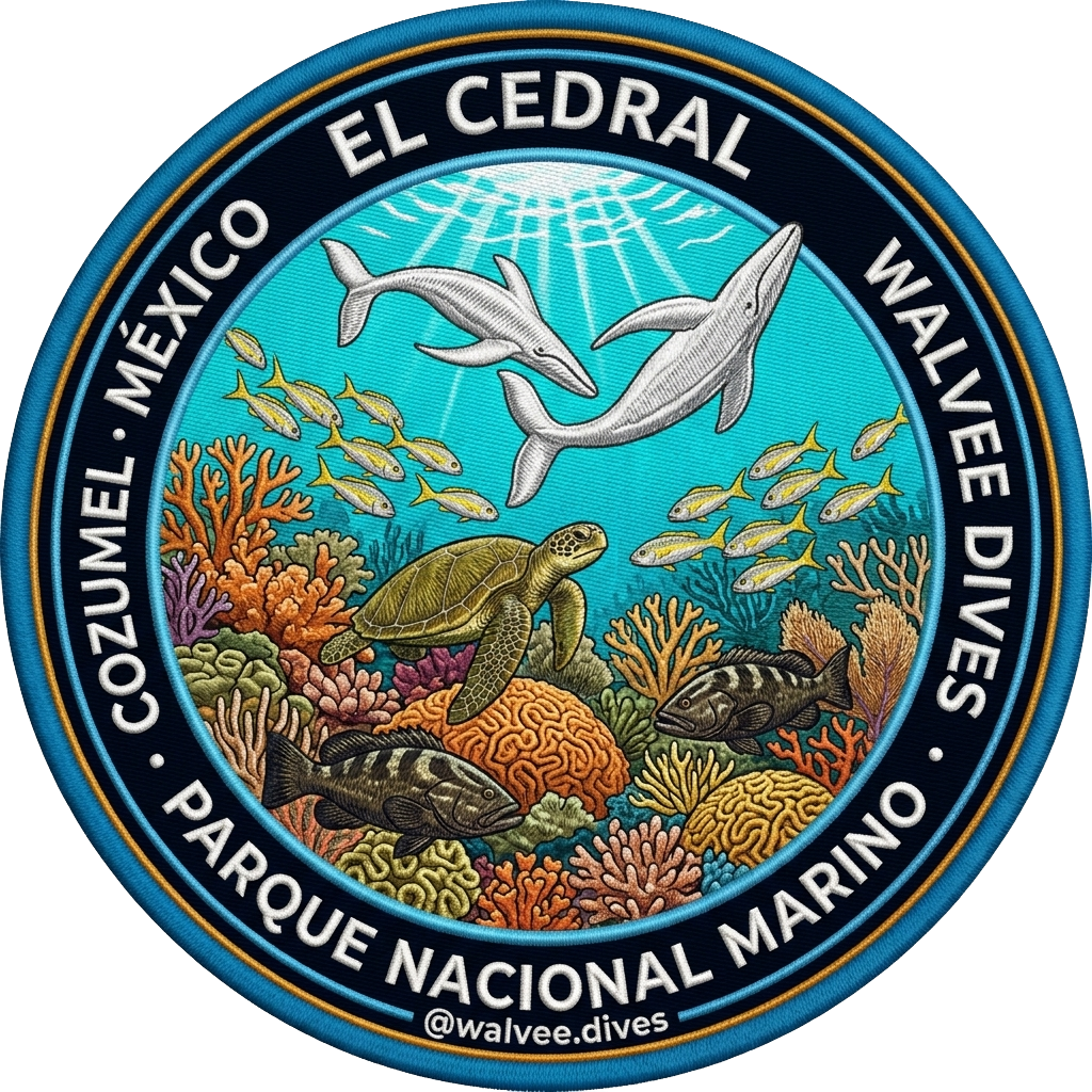 El Cedral