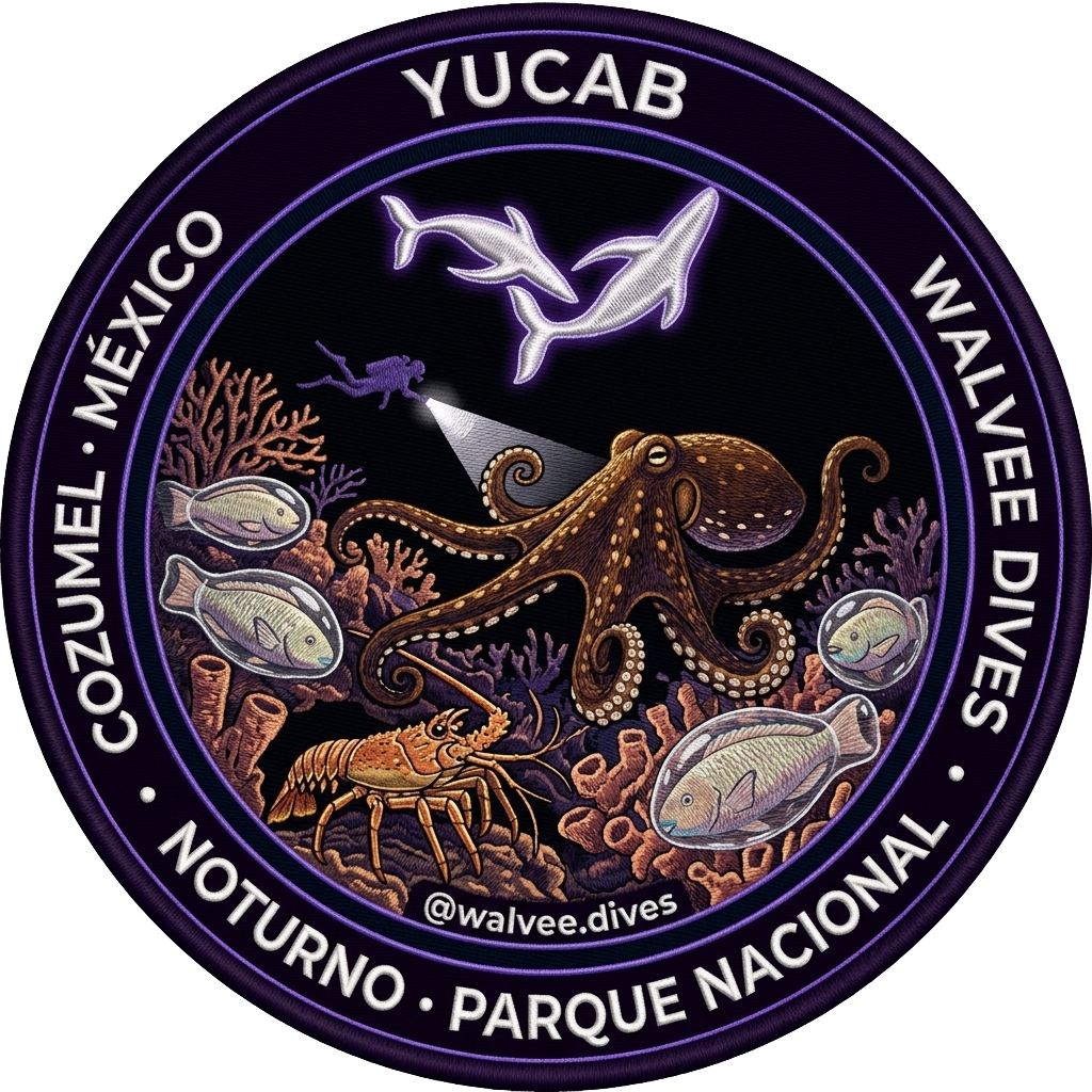 Yucab