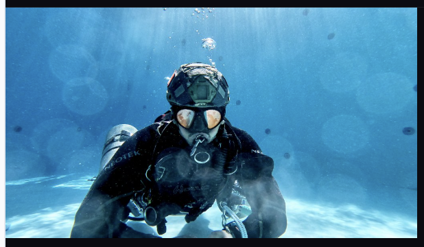 Plataforma Walvee Dives