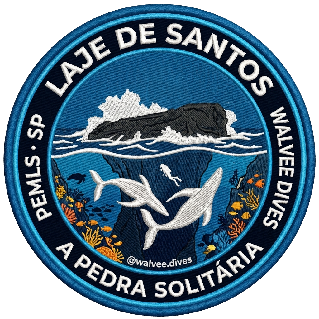 Laje · Pedra Solitária · Abr/25