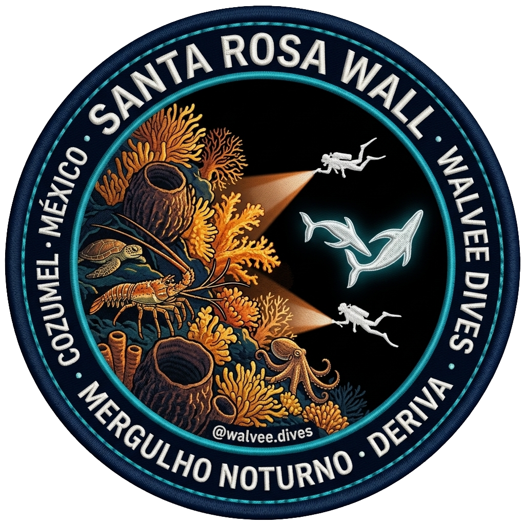 Santa Rosa Wall