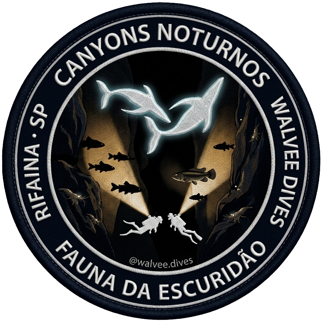 Canyons Noturnos