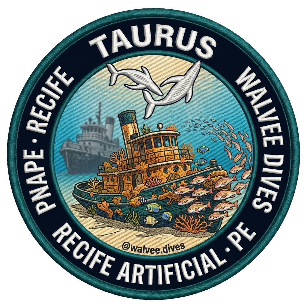 N/M Taurus