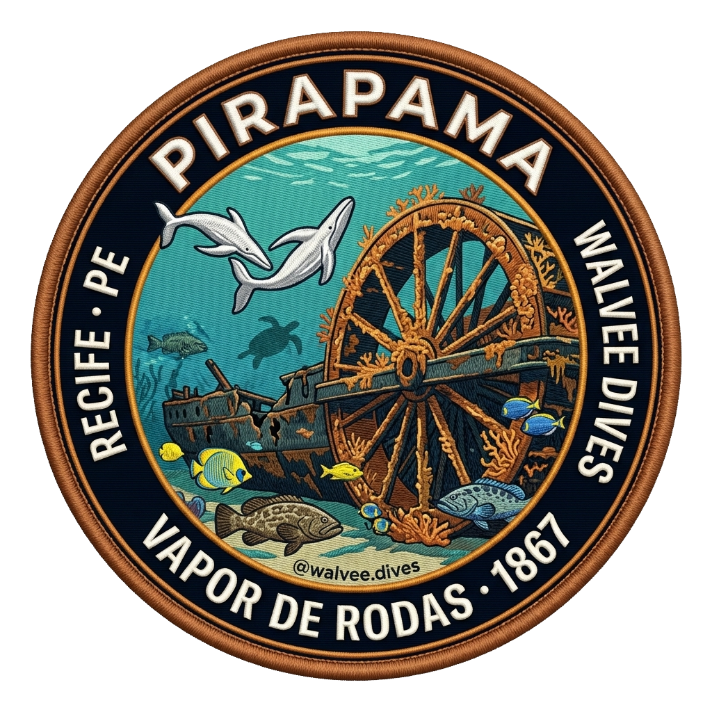 N/M Pirapama