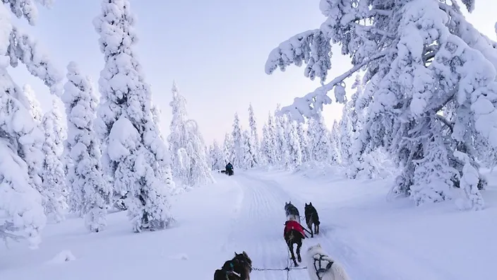 Finské Laponsko 5