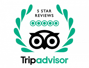 Tripadvisor 5 star reviews