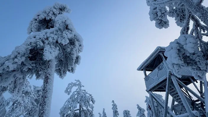 Finské Laponsko 8