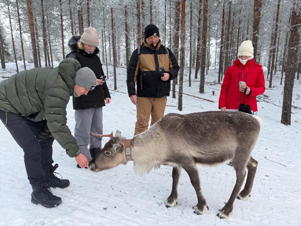 Setkání se sobem v zasněženém lese