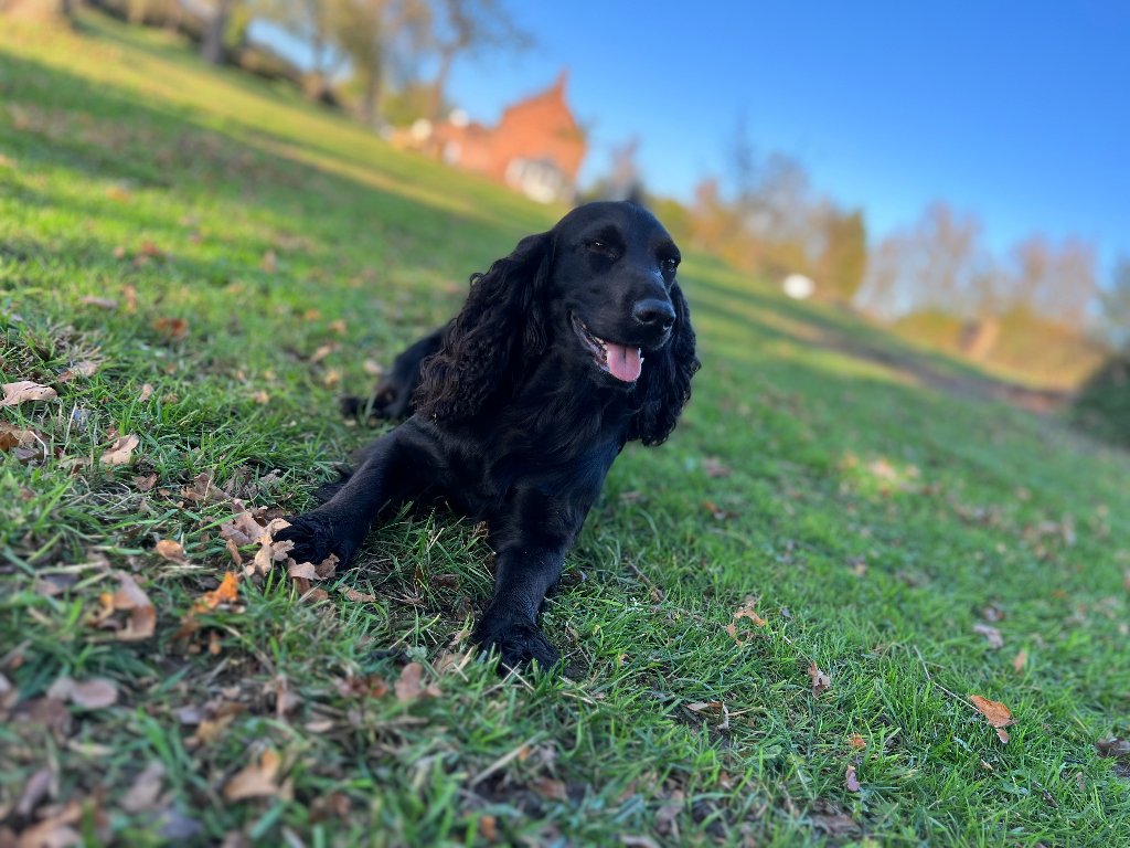 Betty