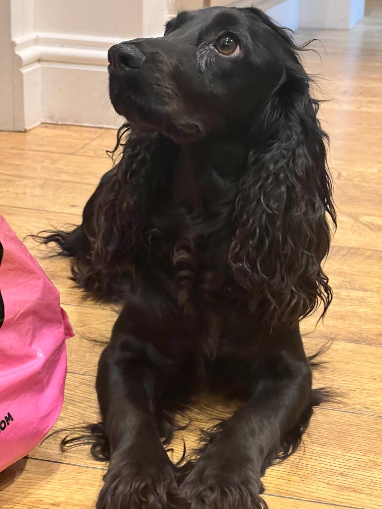 Coco