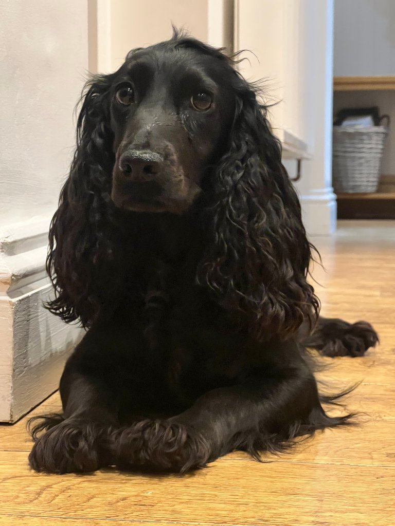 Coco