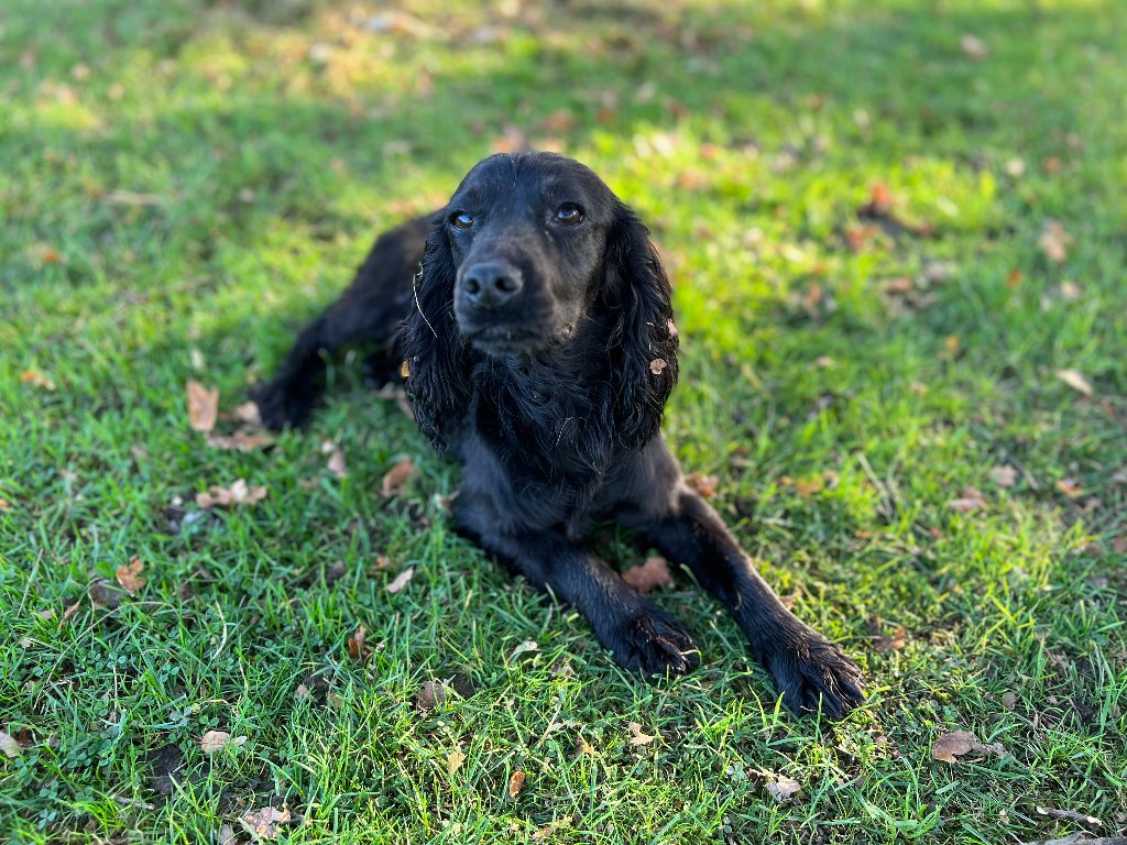 Betty