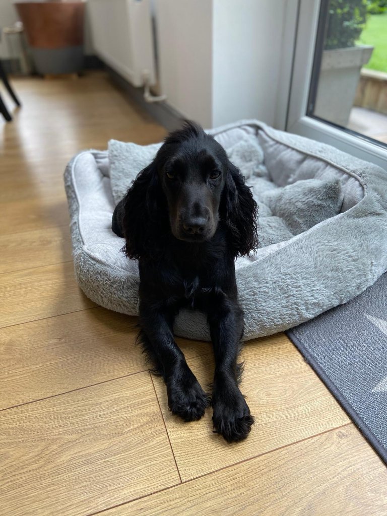 Coco