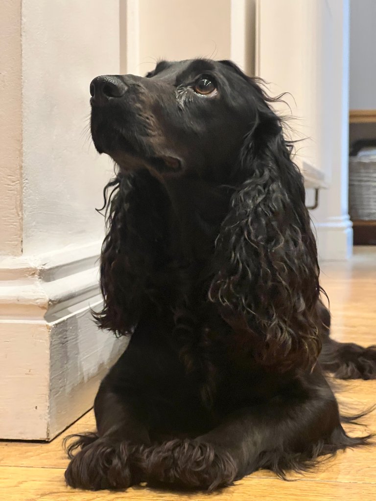 Coco