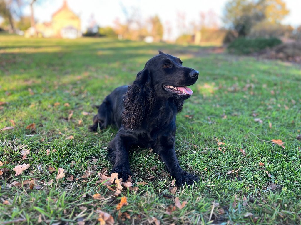 Betty