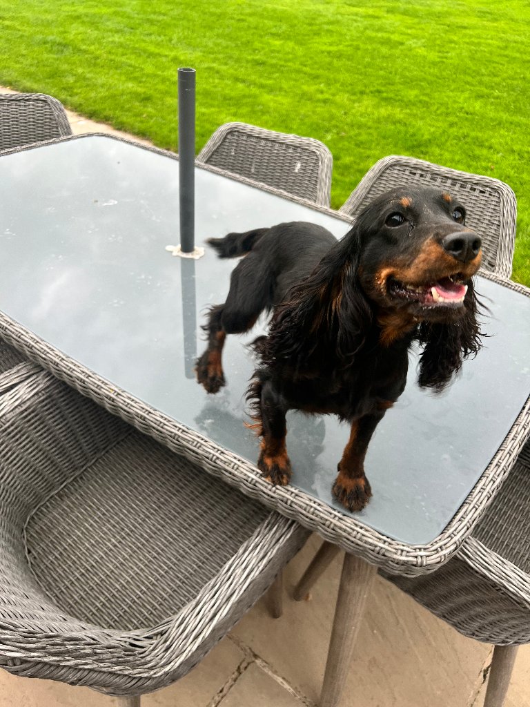 Maggie