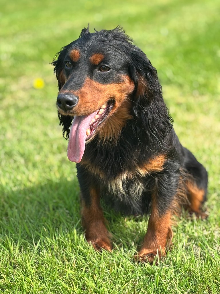Rocky 2