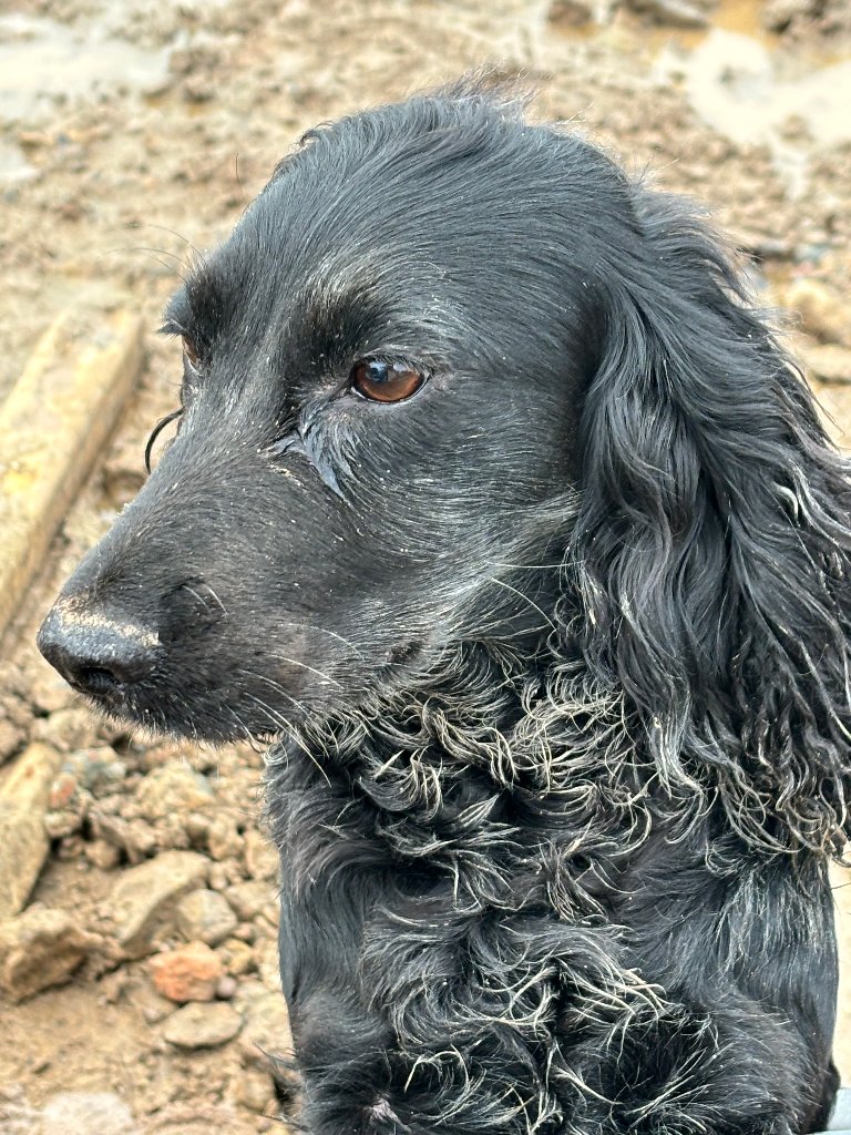 Coco
