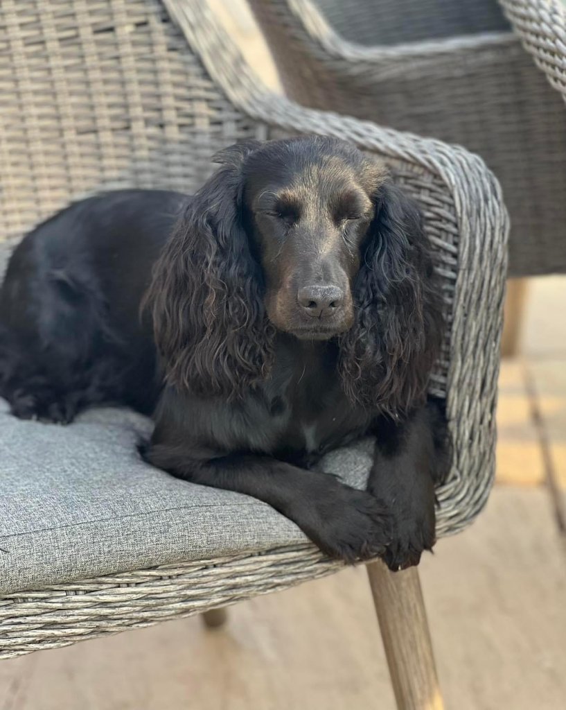 Coco