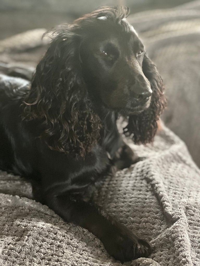 Coco