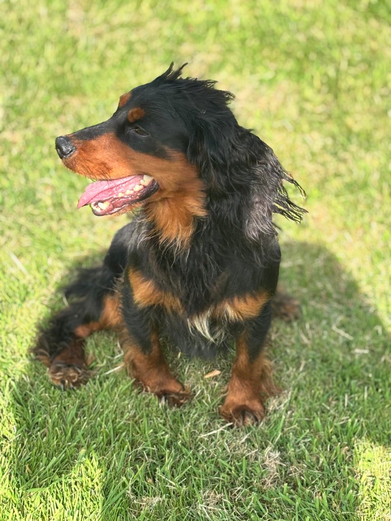 Rocky 12