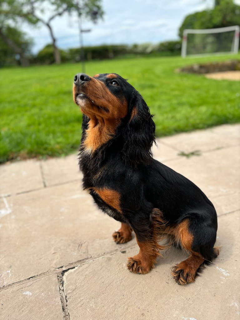 Rocky 18