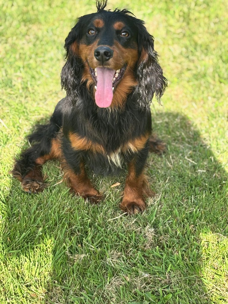 Rocky 13