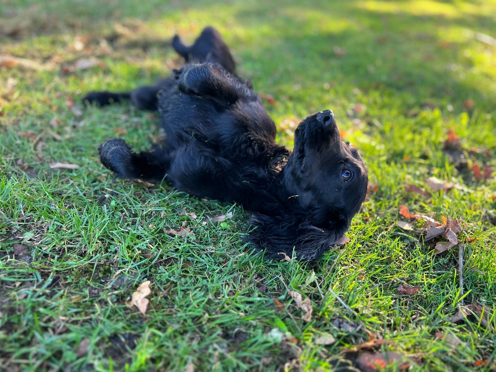 Betty
