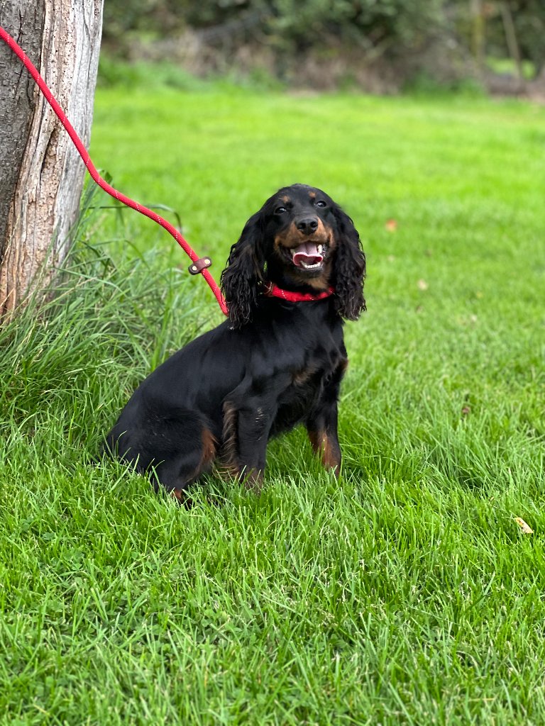 Maggie