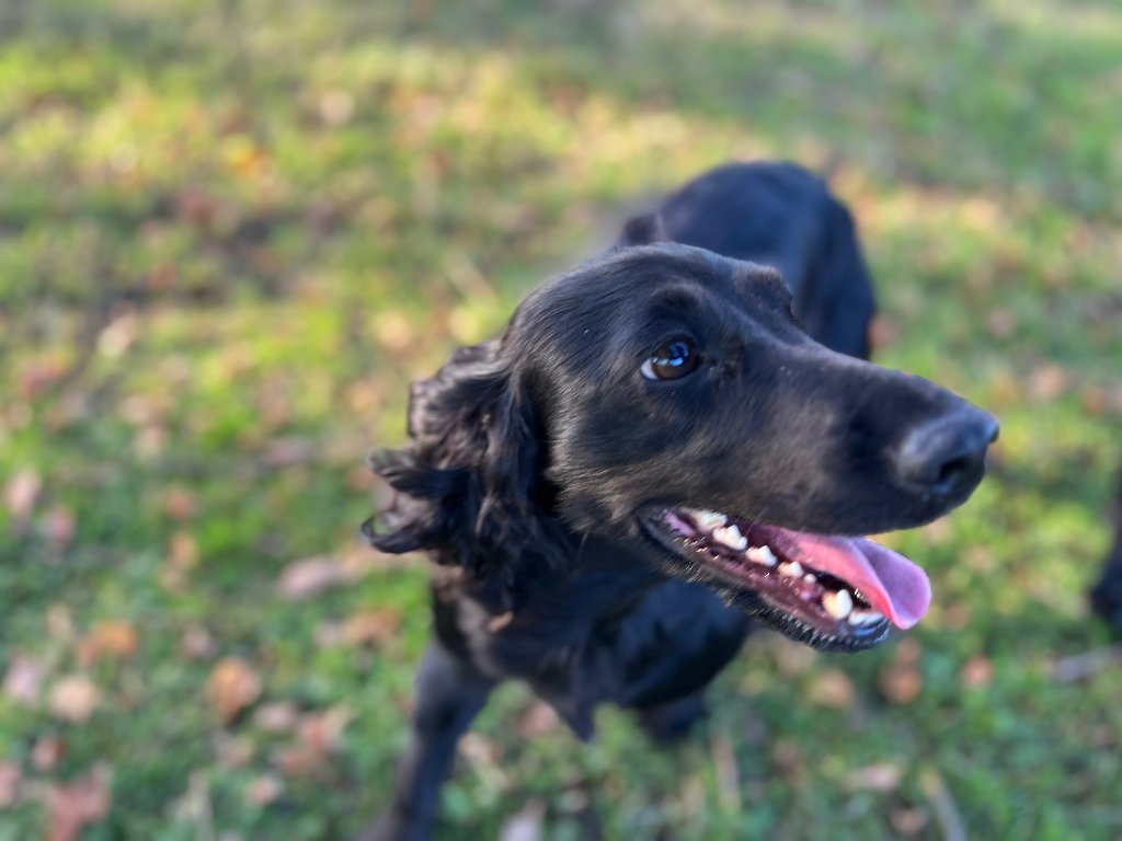 Betty