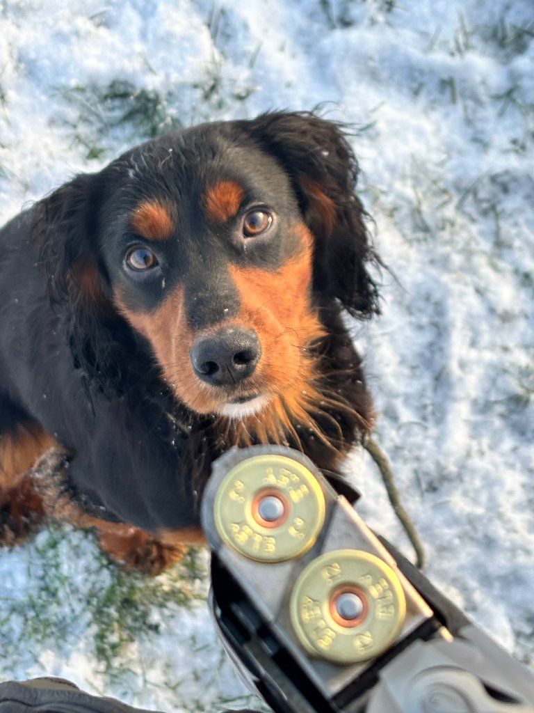 Rocky 14