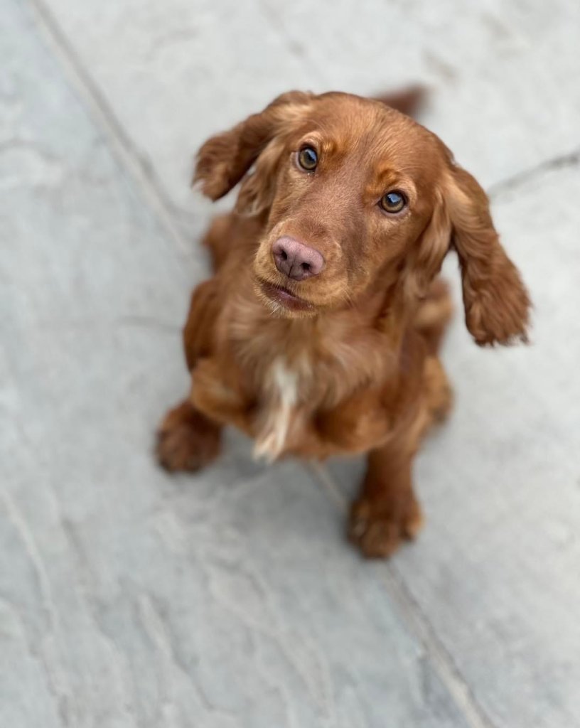 Molly