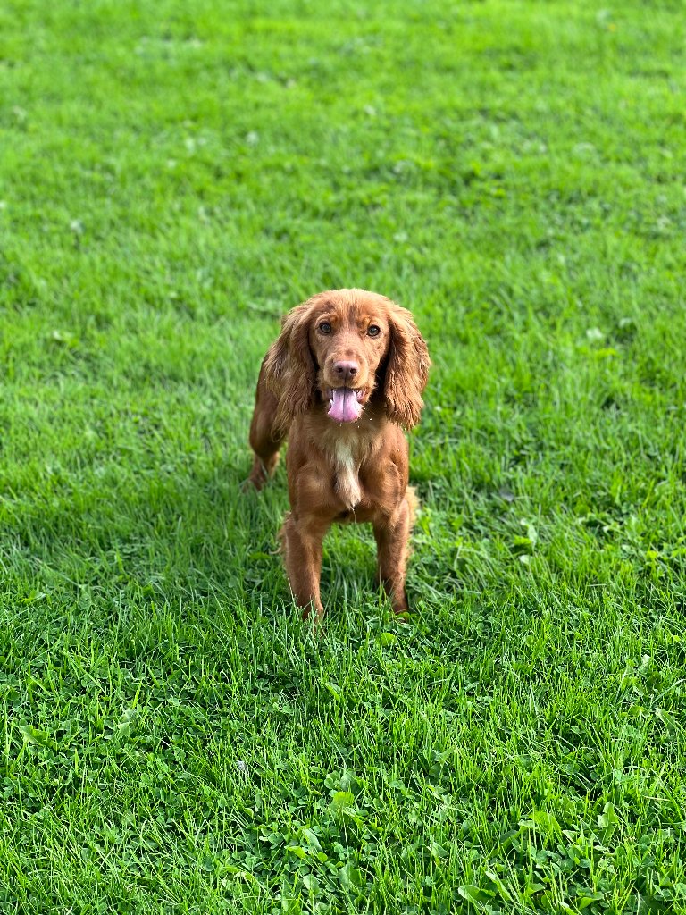 Molly