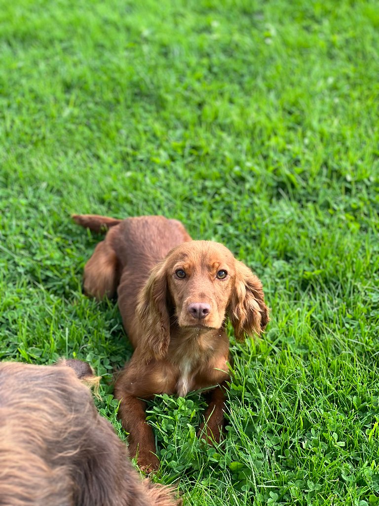 Molly