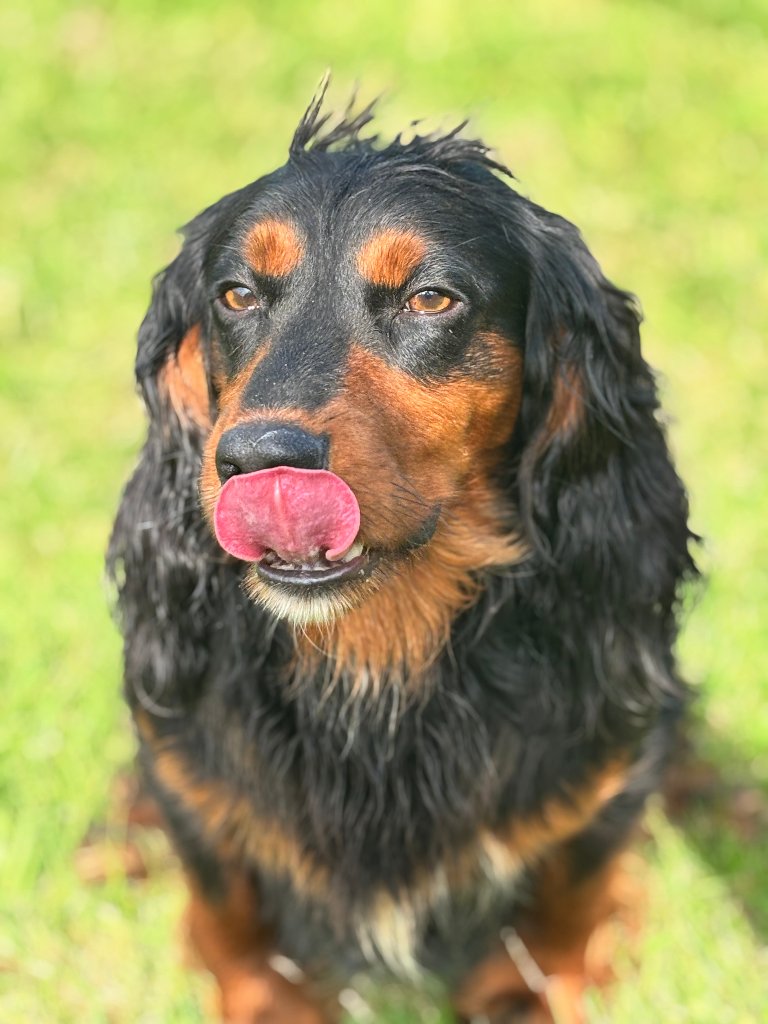 Rocky 11