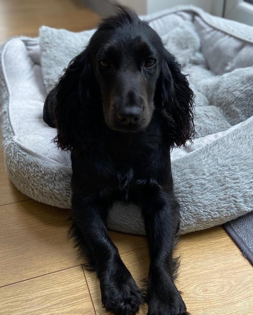 Coco