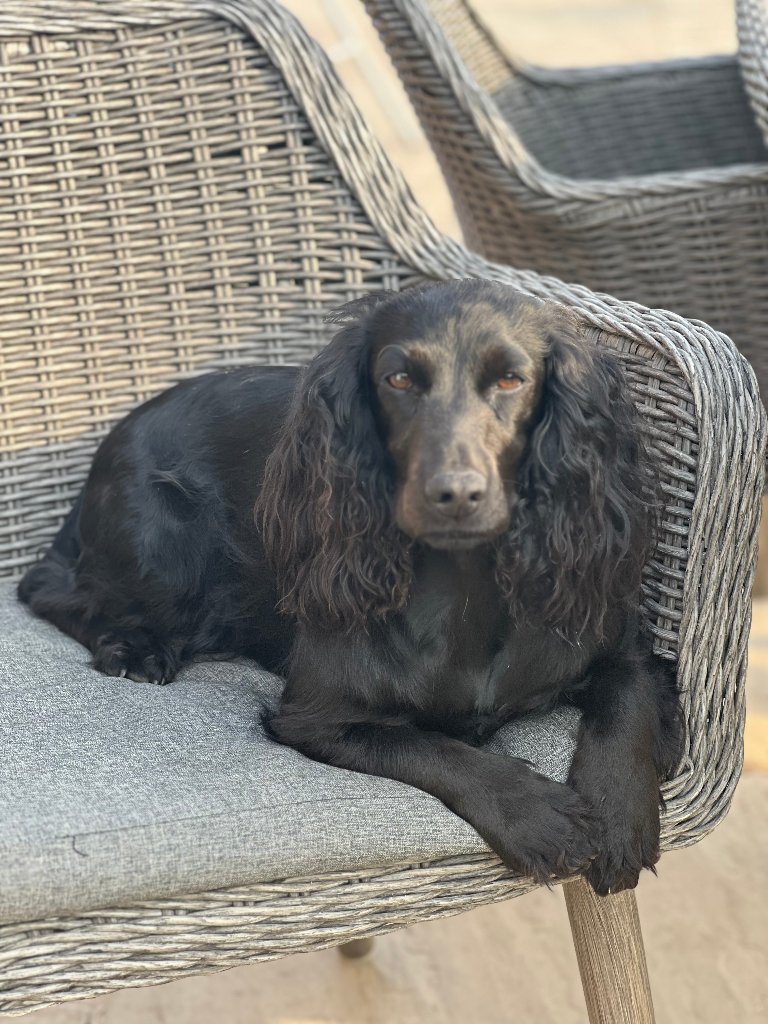 Coco