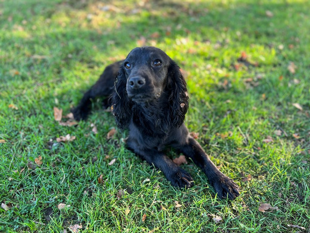 Betty